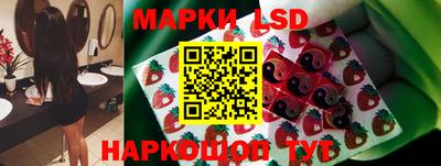 гидра Будённовск