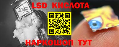 гидра Будённовск