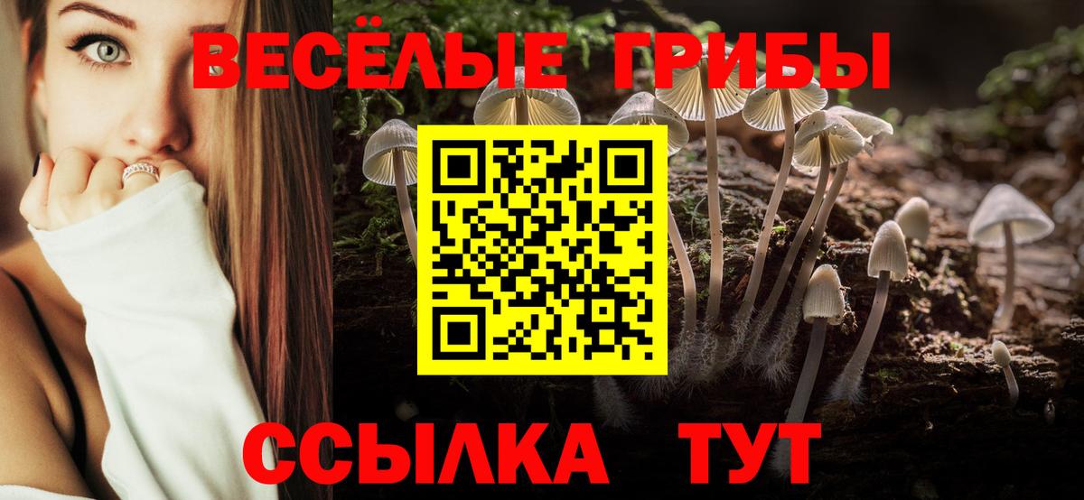 Псилоцибиновые грибы Magic Shrooms Миасс